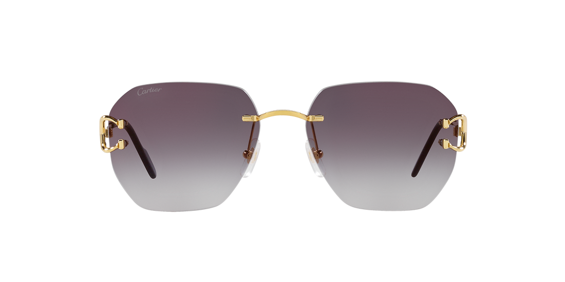 Gafas De Sol Unisex Cartier CT0394S