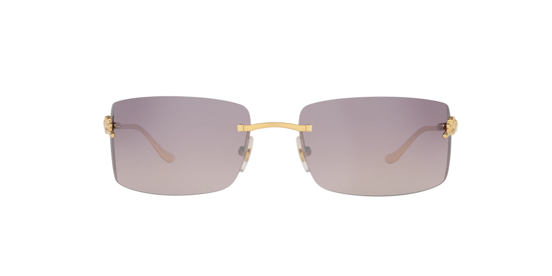 Gafas De Sol Unisex Cartier CT0503S