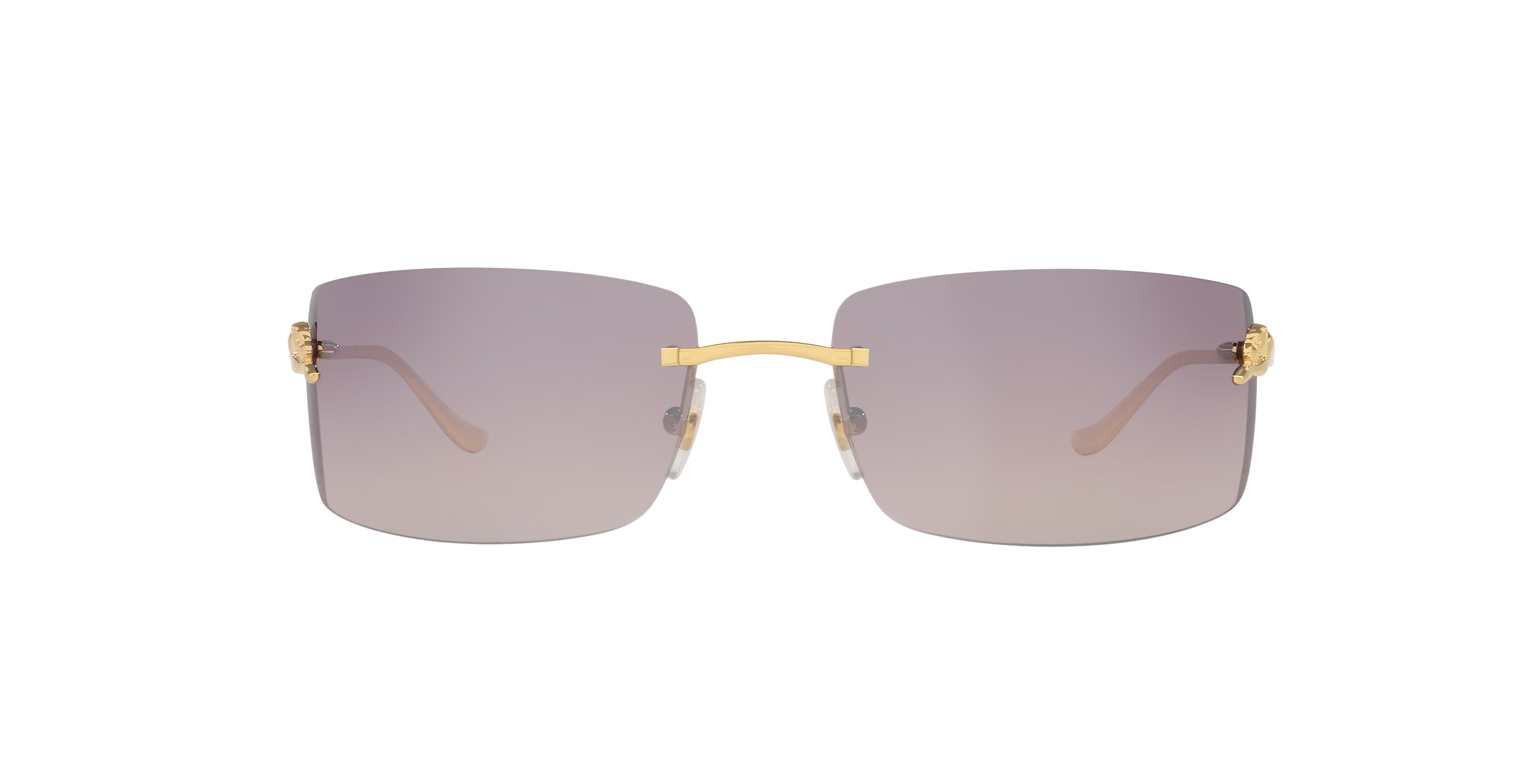 Gafas De Sol Unisex Cartier CT0503S