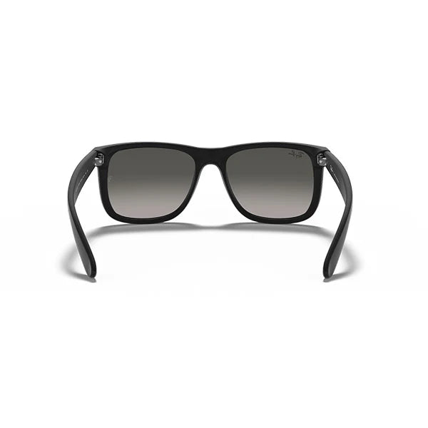 Gafas De Sol Ray Ban 0RB4165