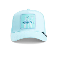 Gorra Goorin Bros