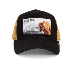 Gorra Goorin Bros