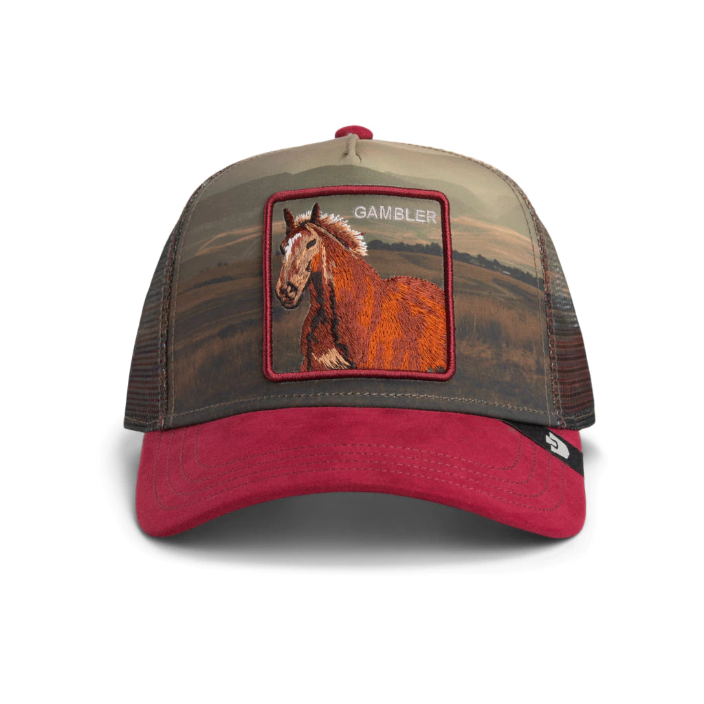 Gorra Goorin Bros