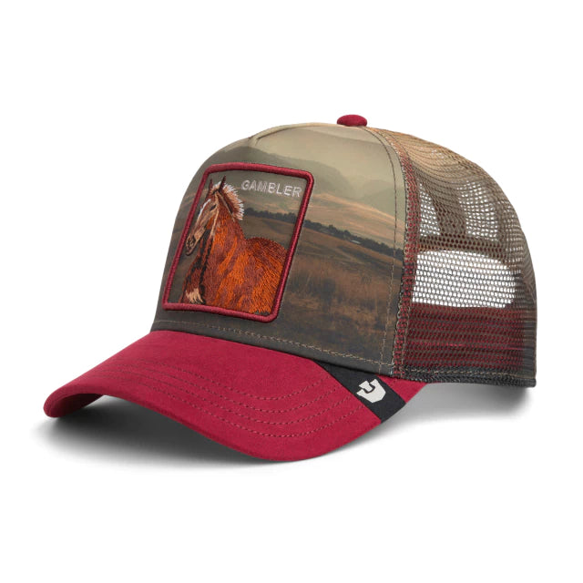 Gorra Goorin Bros