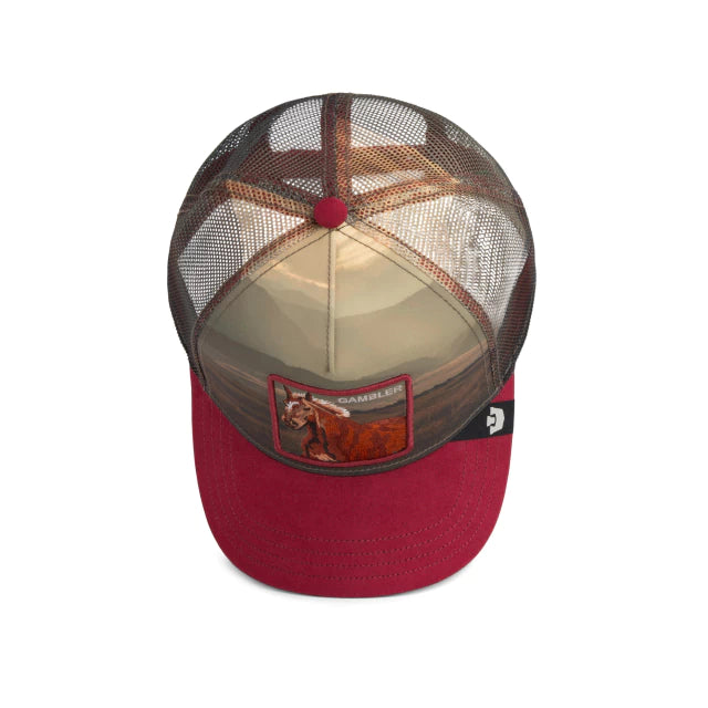 Gorra Goorin Bros