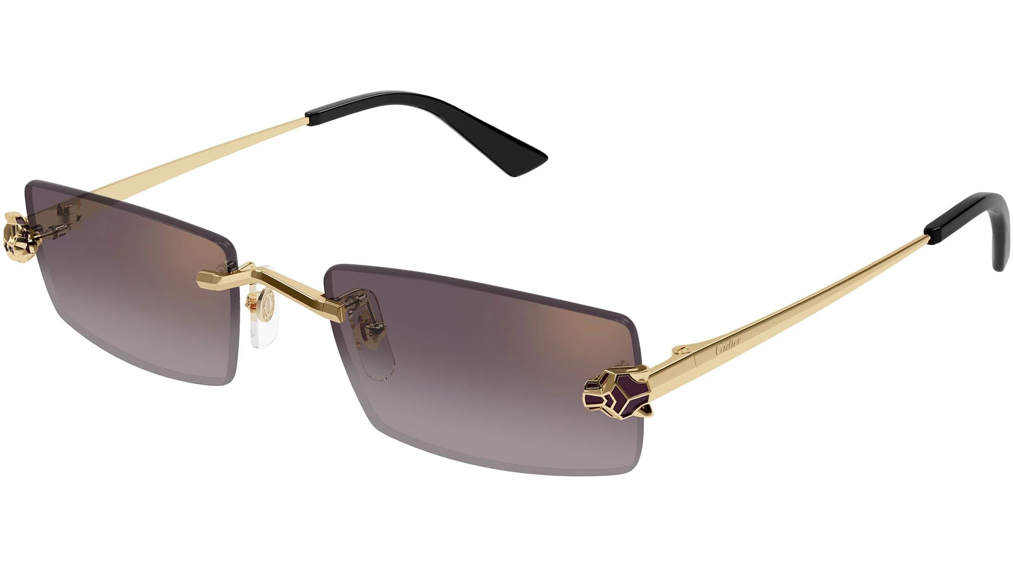 Gafas De Sol Unisex Cartier CT0598S