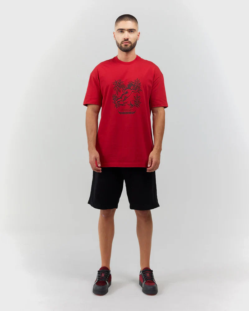 Camiseta Hombre Clemont Sorriso Camiseta