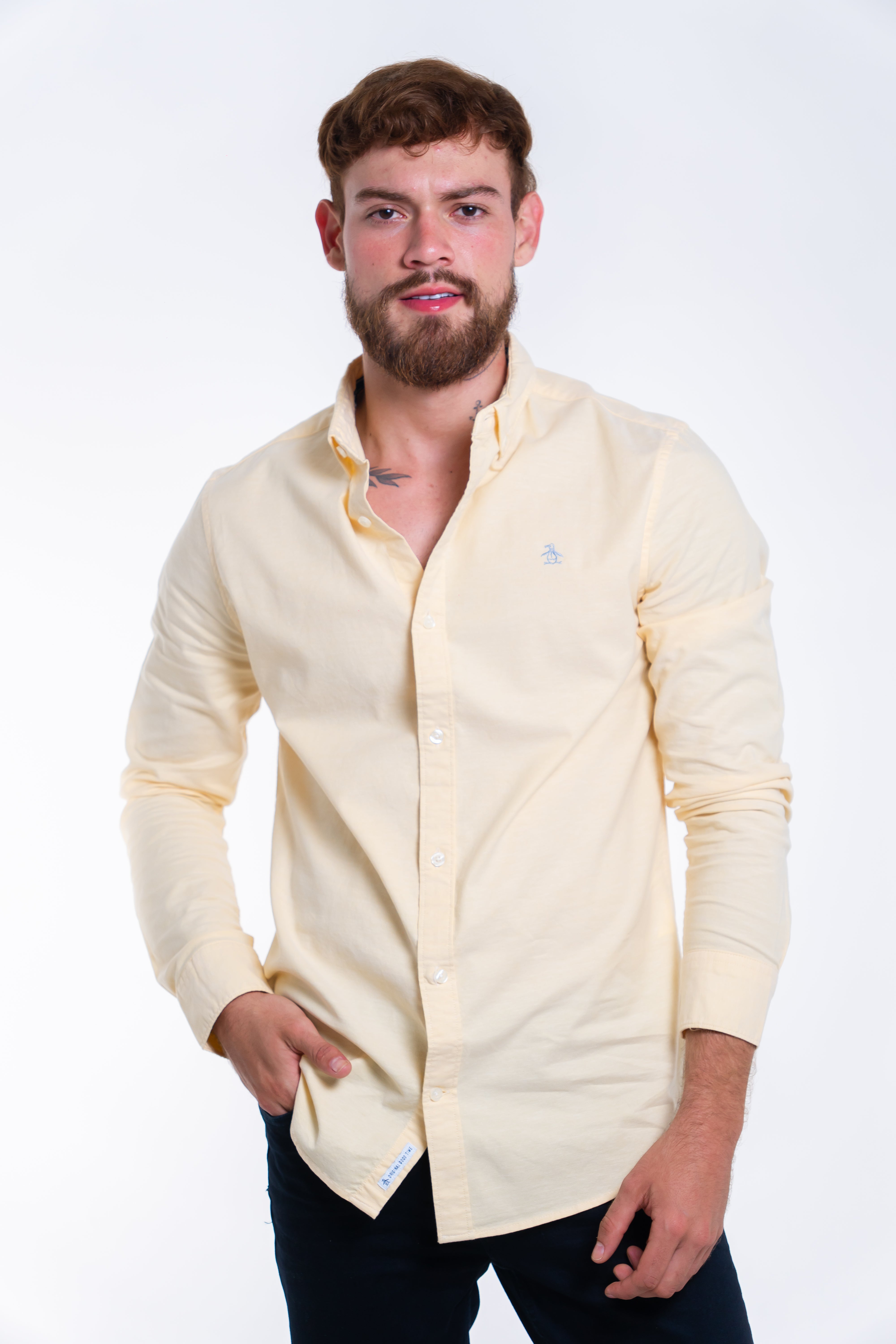 Camisa Penguin Oxford Camisas