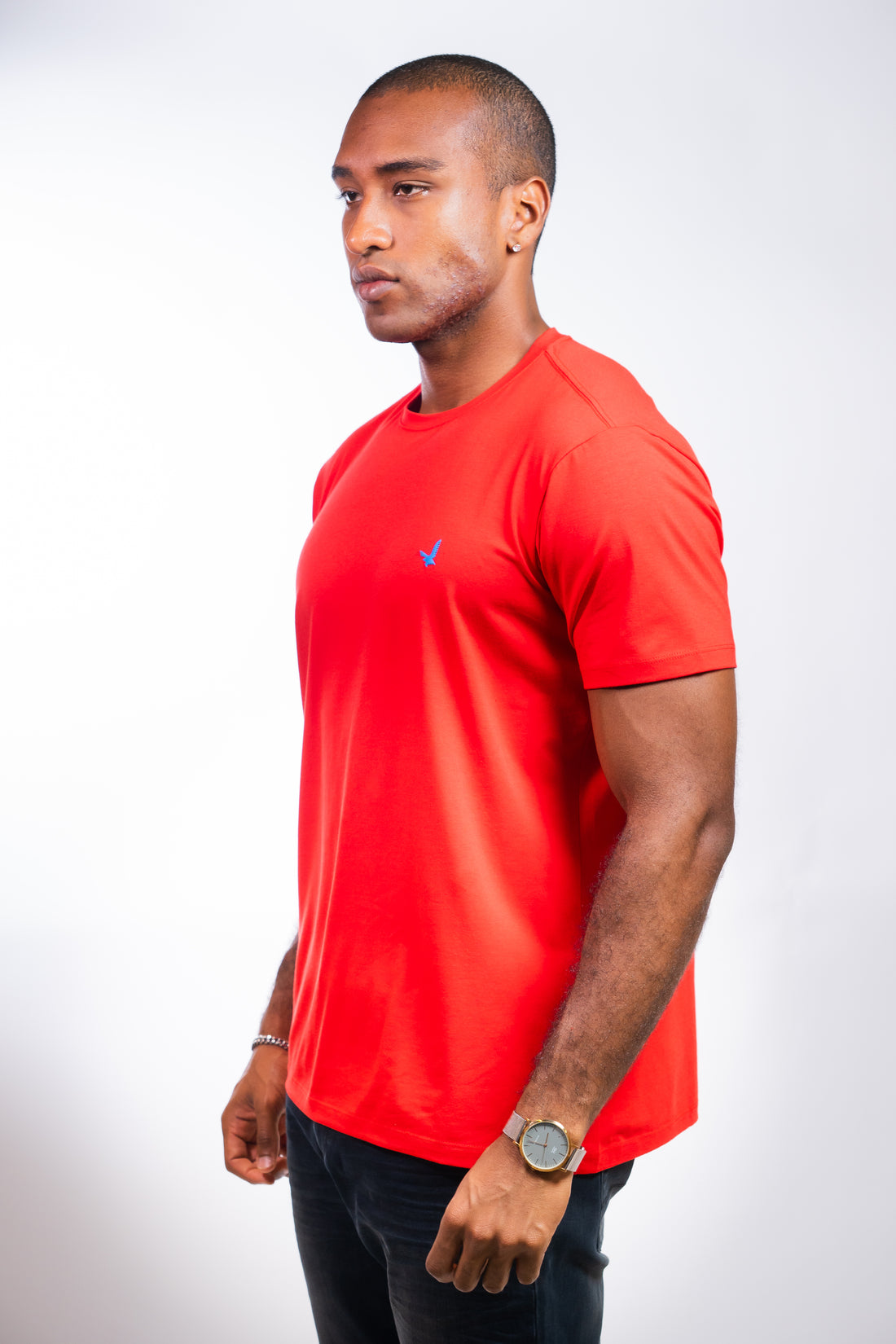 Camiseta Hombre Regular Fit