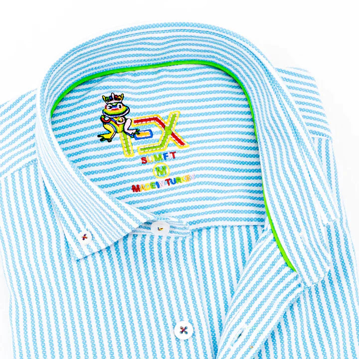 Camisa blanca con botones y ribete de cuadros azules – Eight-X