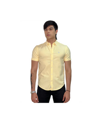 Camisa Penguin Oxford