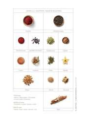 Perfume Ilmin Il Notus