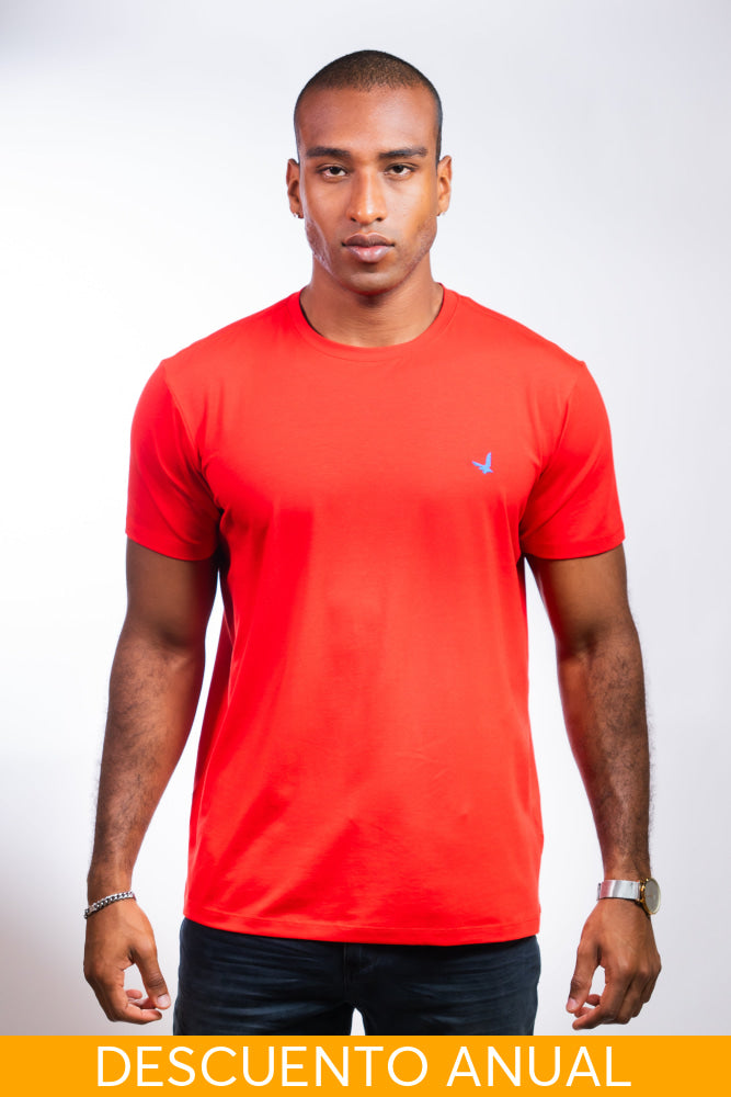 Camiseta Hombre Regular Fit - Camiseta