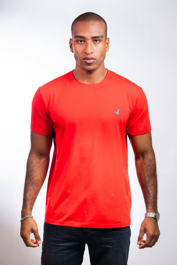Camiseta Hombre Regular Fit - Camiseta