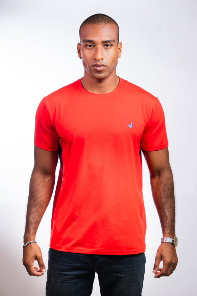Camiseta Hombre Regular Fit - Camiseta