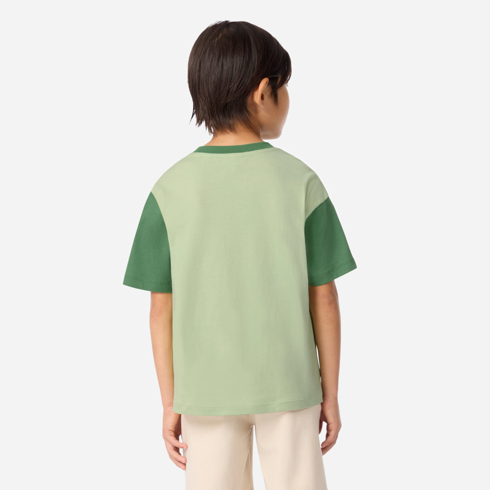 Camiseta Kids Lacoste - Camiseta Kids