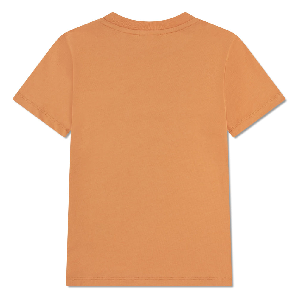 Camiseta Kids Lacoste - Camiseta Kids
