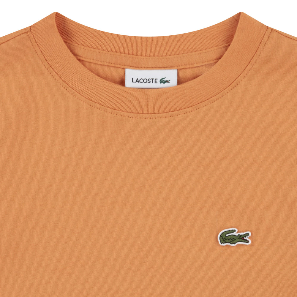 Camiseta Kids Lacoste - Camiseta Kids