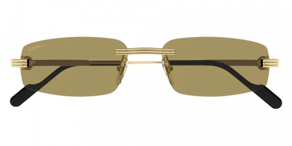 Gafas De Sol Hombre Cartier CT0535S - Gafas