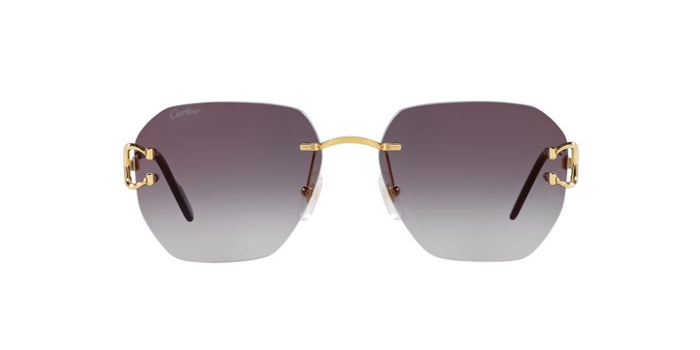 Gafas De Sol Unisex Cartier CT0394S - Gafas