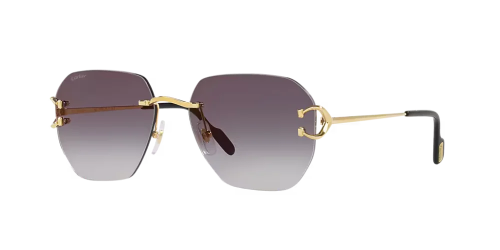 Gafas De Sol Unisex Cartier CT0394S - Gafas