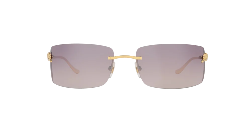 Gafas De Sol Unisex Cartier CT0503S - Gafas