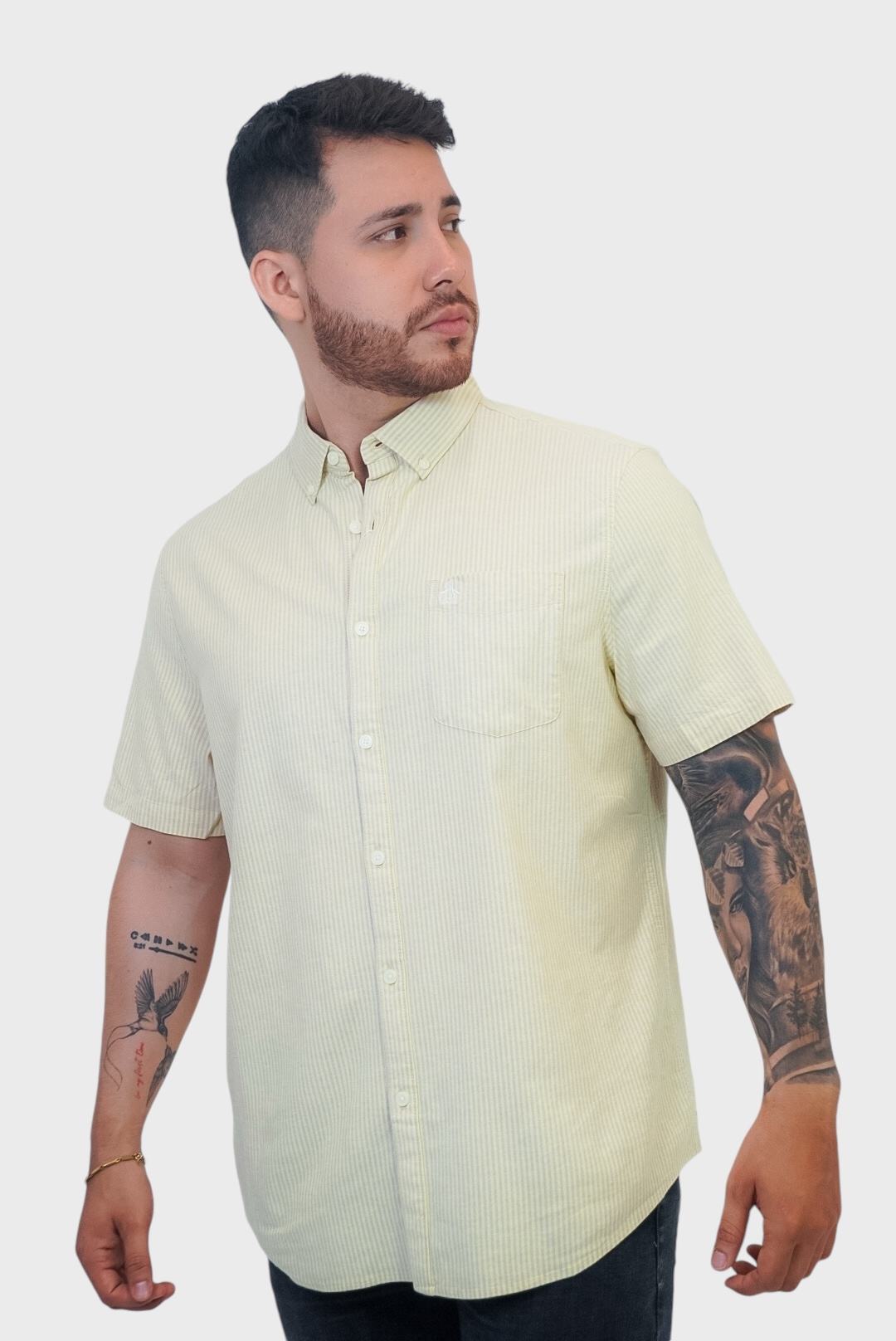 Camisa Penguin Cream Gold S Camisas