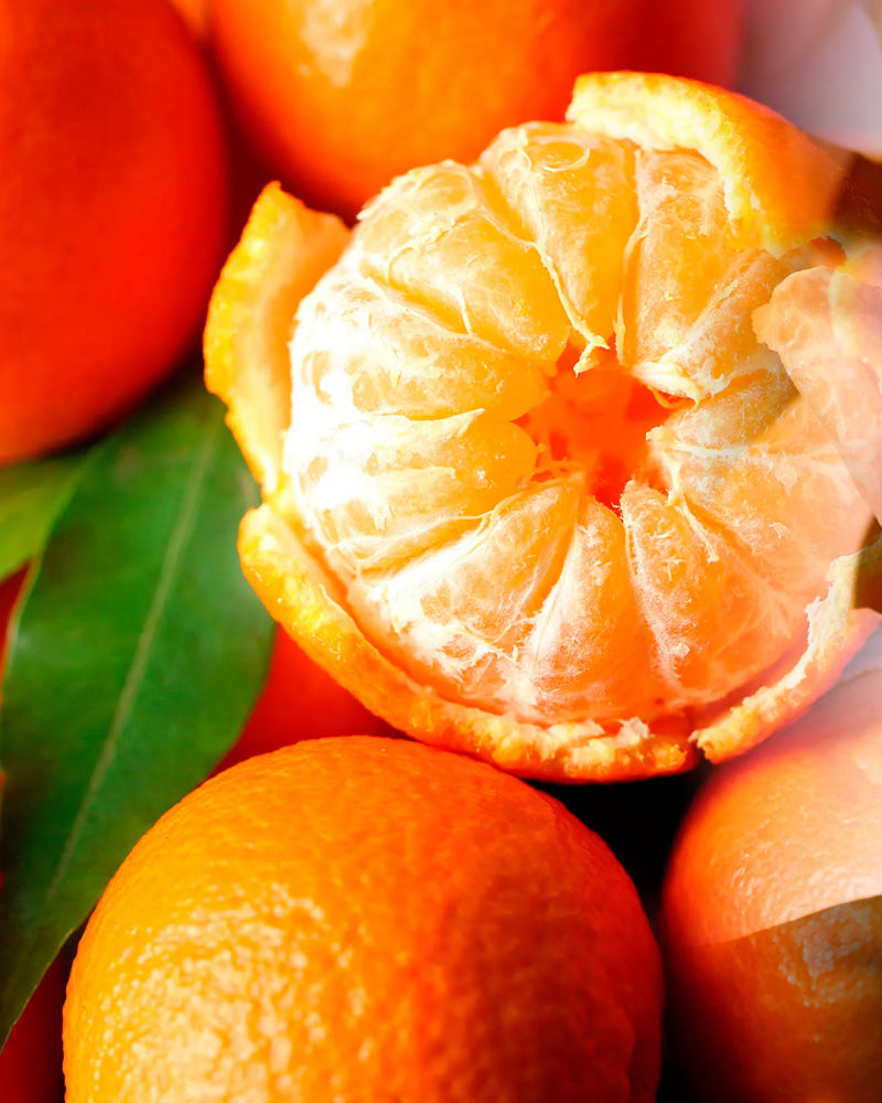 Perfume Maison Label Lily & Tangerine - Perfume