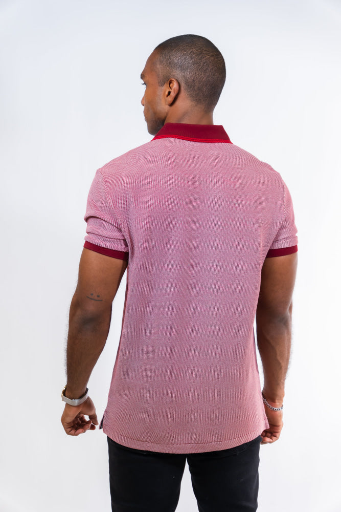 Polo Hombre Penguin - Polos