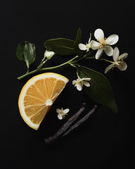 Perfume Emmir Milano Venezia