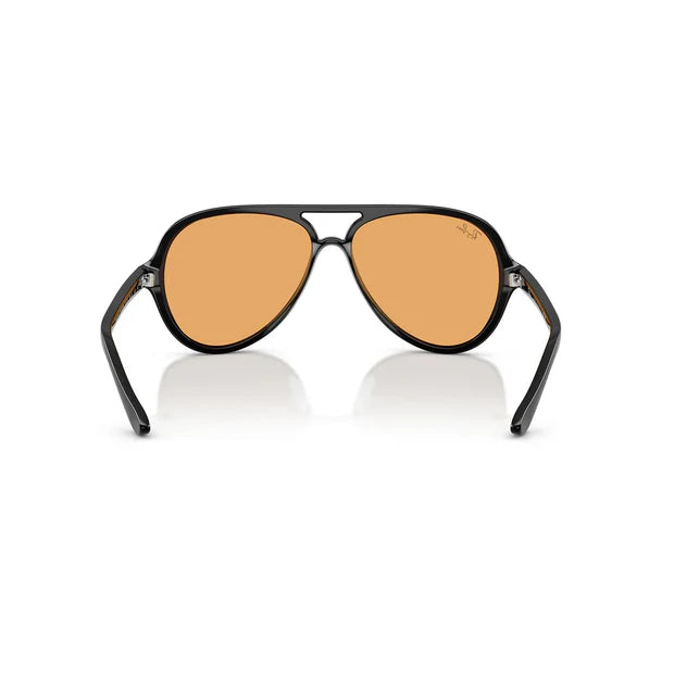Gafas De Sol Hombre Ray Ban 0RB4125